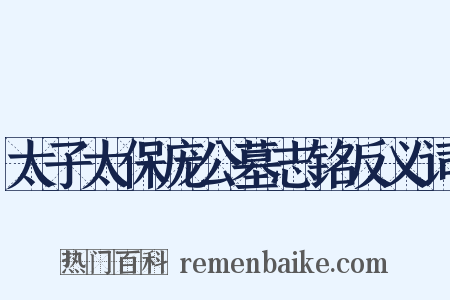 太子太保庞公墓志铭反义词是什么意思的图片